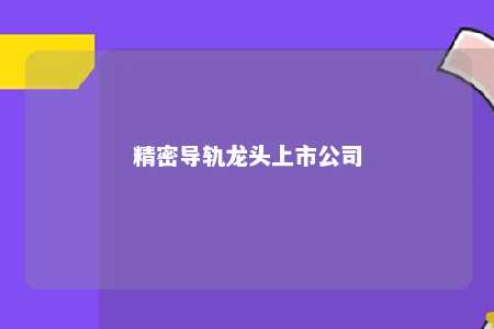 精密导轨龙头上市公司 